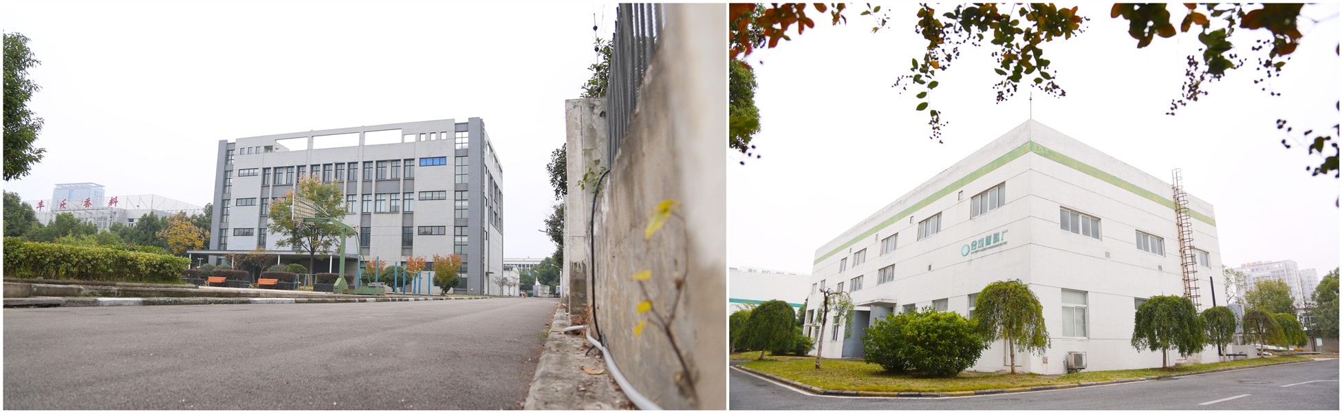 东升国际官网-钻营健全,你我一路成长