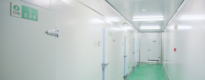 东升国际官网-钻营健全,你我一路成长