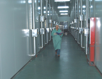 东升国际官网-钻营健全,你我一路成长