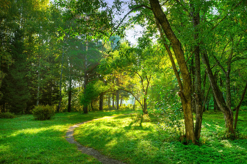 e78fab44aa01a33777477fb600de922a