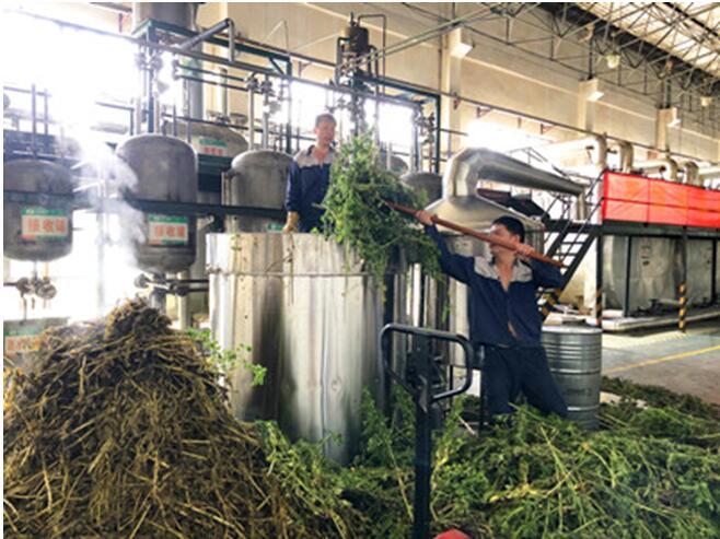 东升国际官网-钻营健全,你我一路成长